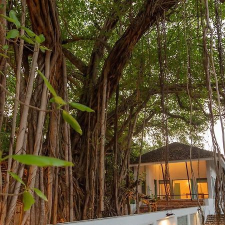 White Banyan Beach Villa, Candolim By The Acacia Villas ภายนอก รูปภาพ