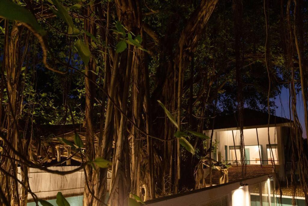 White Banyan Beach Villa, Candolim By The Acacia Villas ภายนอก รูปภาพ