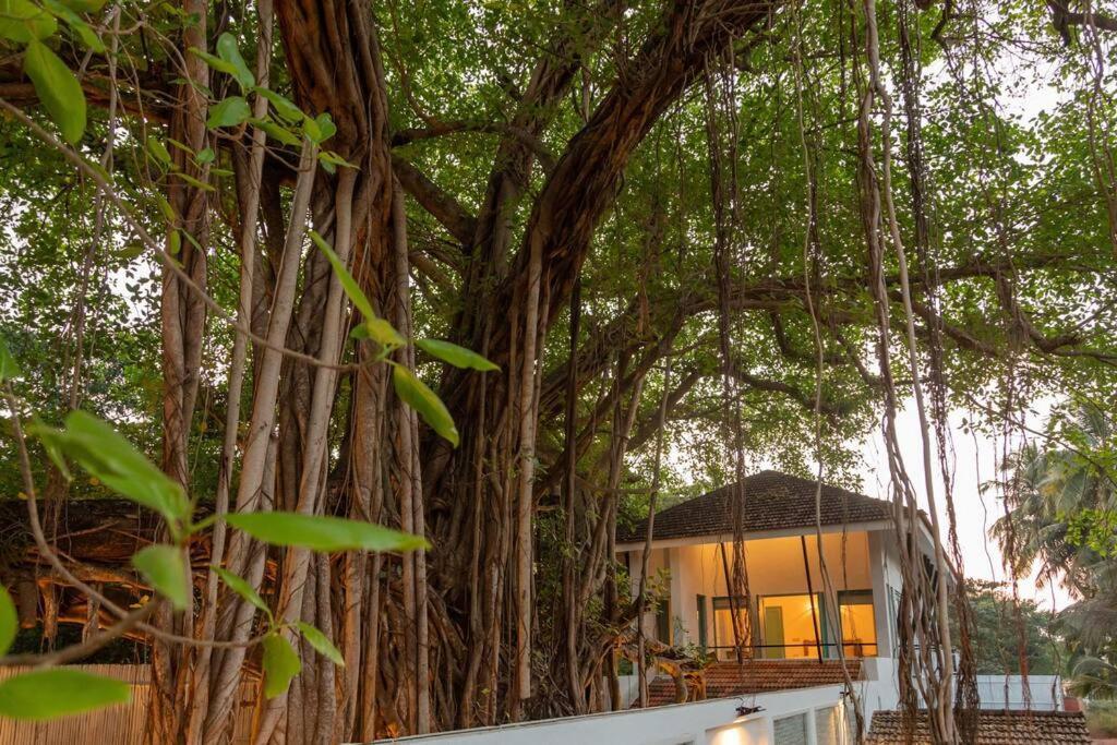 White Banyan Beach Villa, Candolim By The Acacia Villas ภายนอก รูปภาพ