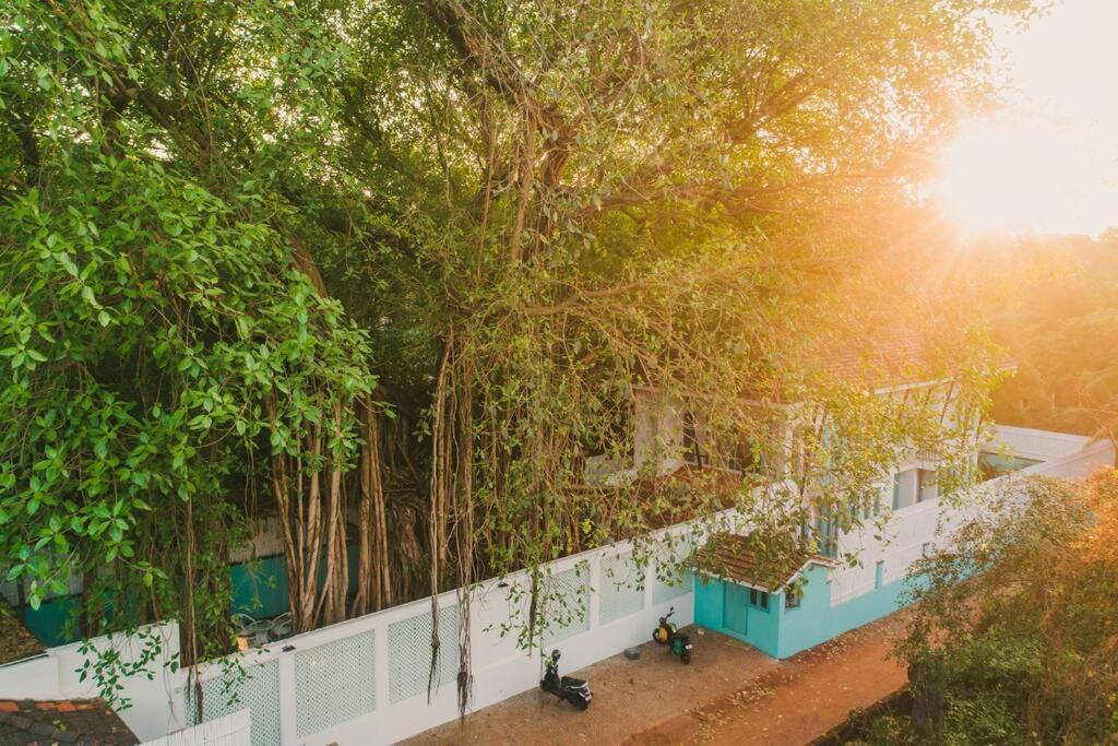 White Banyan Beach Villa, Candolim By The Acacia Villas ภายนอก รูปภาพ